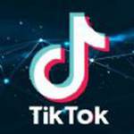 tiktok永久精简版吾爱限免最新版